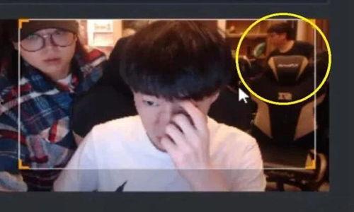 呆呆奇哥互相爆料视频,揭秘娱乐圈背后的秘密与笑料  第1张